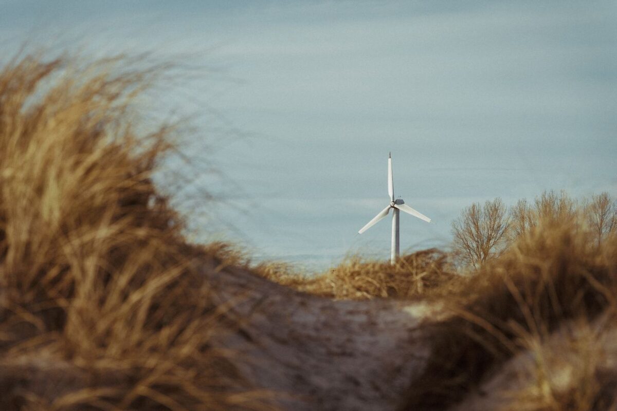 Élevage de Chantime A solitary wind turbine stands tall among sand dunes, framed by grass and trees under a clear sky.
